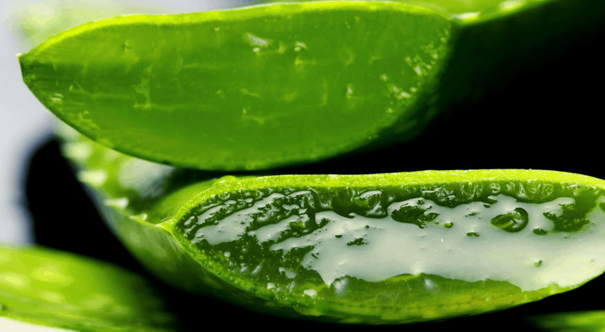 Does Aloe Vera help hair loss?